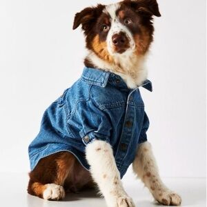 Found Dog Jean Jacket